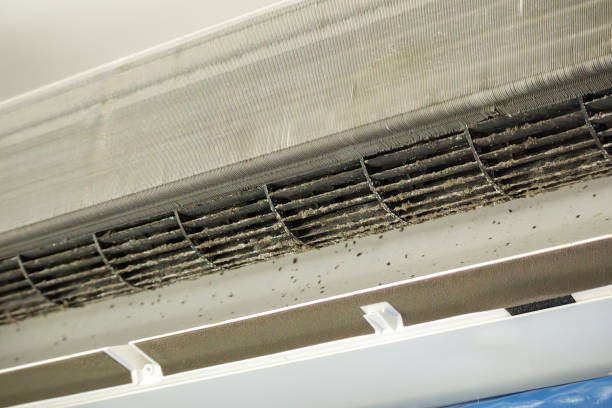 Best Local Air Duct Cleaning Services  in Newport, WA